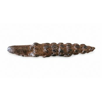 Crocodile Africain en Bronze � Figurine Dogon Textur�e du Mali