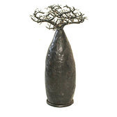 aRBRE PORTE BIJOU BAOBAB DESIGN